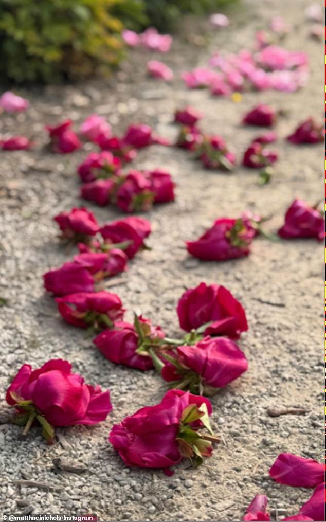 A third of the plants were decapitated with their buds and flowers left littering the ground