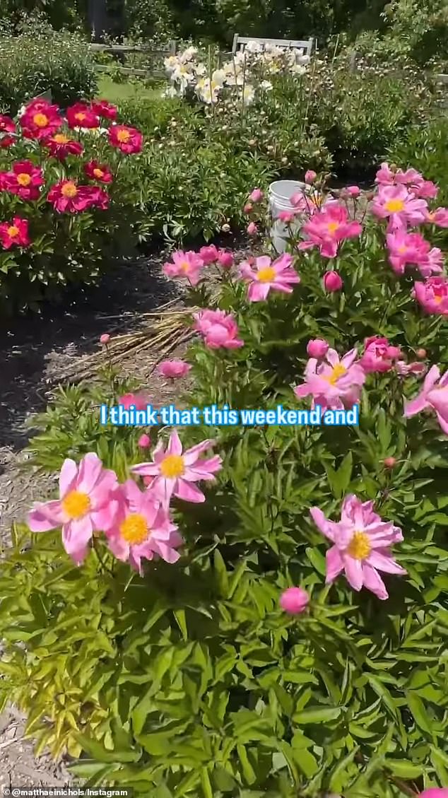 The peony garden has been a fixture of Ann Arbor for almost a century and draws thousands of visitors every year