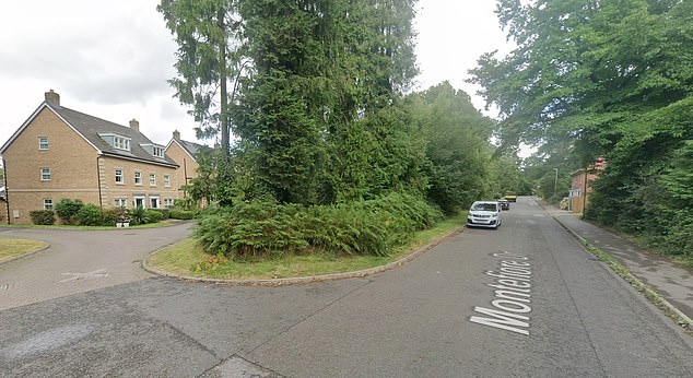 Hampshire Police responded to reports of a 'dark-coloured Audi' hitting a pedestrian on Montefiore Drive, Sarisbury Green, at around 3am on Thursday, May 29 (Pictured: A general street view of the area)