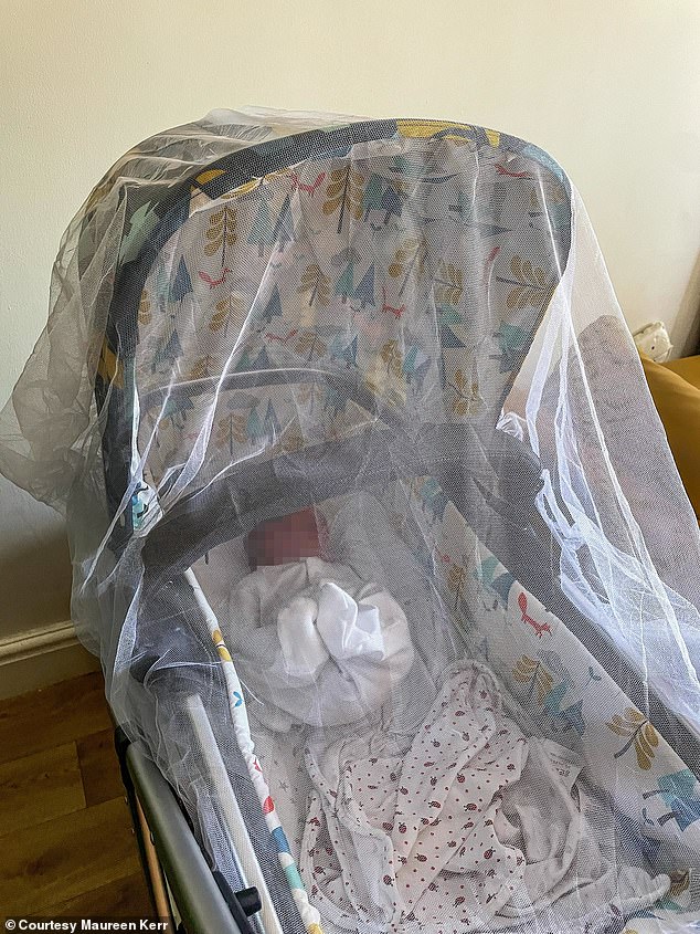 Parents have been draping fly nets over cots of babies as they fear they may choke to death
