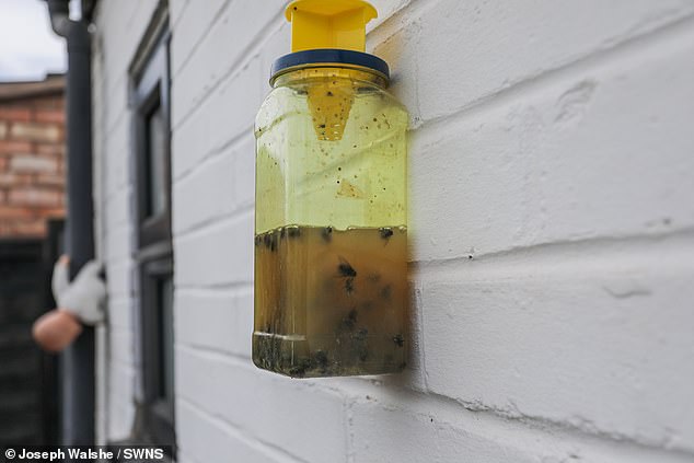 Dozens of dead flies can be seen caught in one of Maureen and Rob Kerr's fly traps outside their home in Whitnash