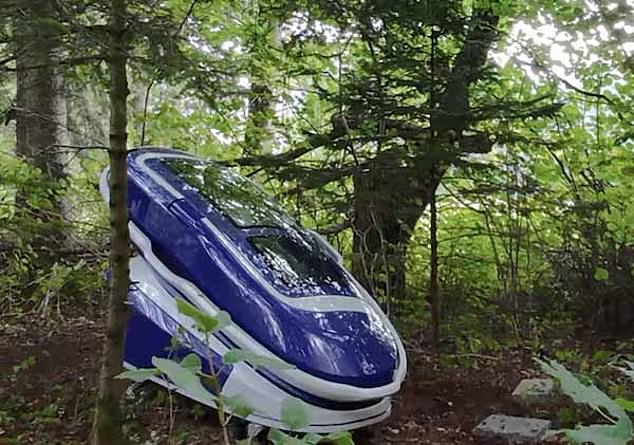 The first use of Sarco capsule took place in the middle of the forest in Switzerland, according to the creators of the device