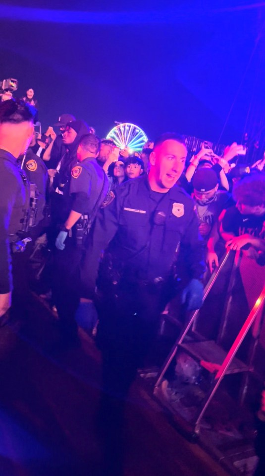 Police officers at a music festival.