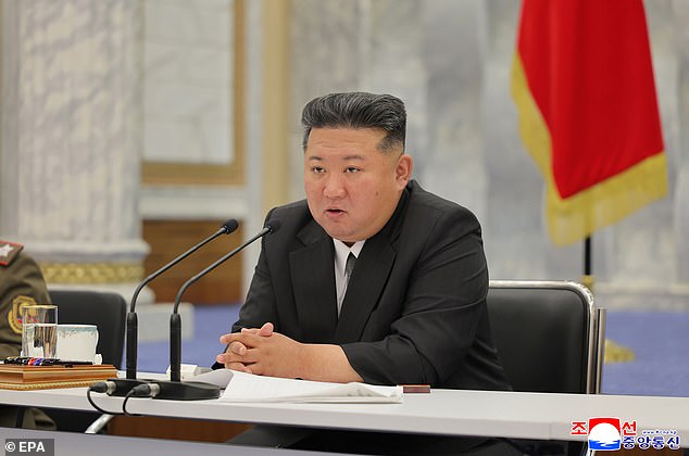 Kim Jong Un (pictured), North Korea's dictatorial ruler, has implemented stricter controls over what information North Koreans can access and what they are allowed to say