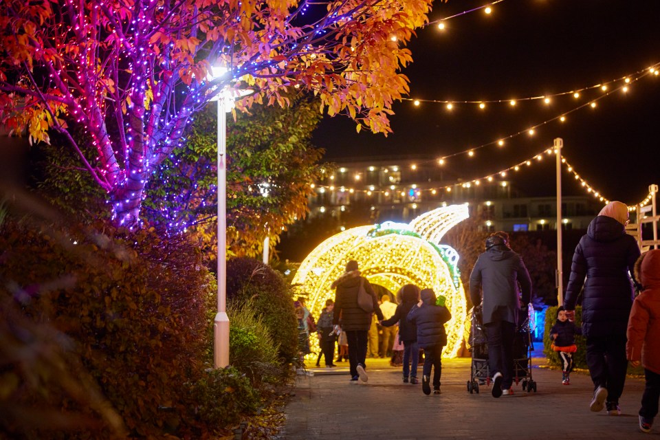 People walking through a nighttime park with illuminated trees and a large light display.