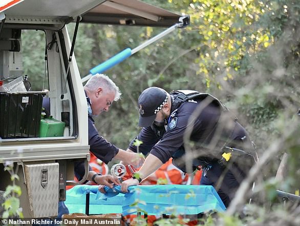 On Saturday May 24 police and SES volunteers began conducting a land, water and aerial search of the Good Night Scrub National Park