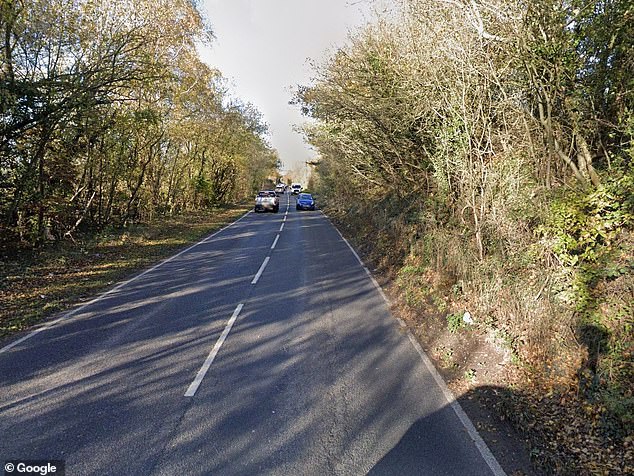 The crash between two pickup trucks happened on New Barn Road, Dartford (pictured)
