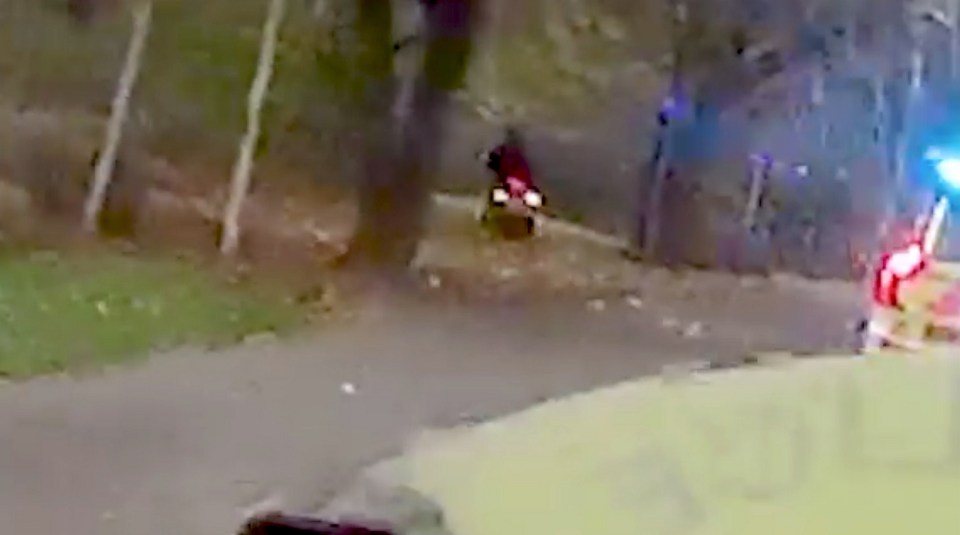 A blurry image of a police chase, showing a motorcyclist entering a nature reserve.