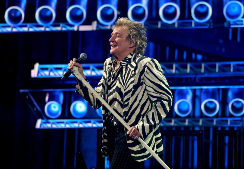 Rod Stewart performing onstage at a benefit concert.
