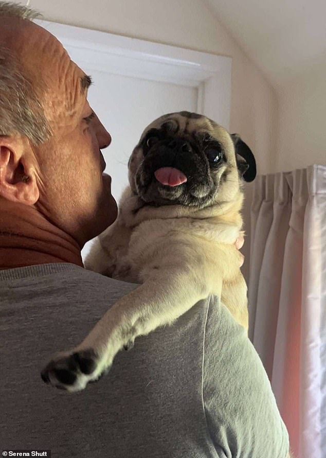 Owner Jason Shutt, 53, pictured with Ozzie, is living his 'worst nightmare' after the dog was taken during the violent robbery in February
