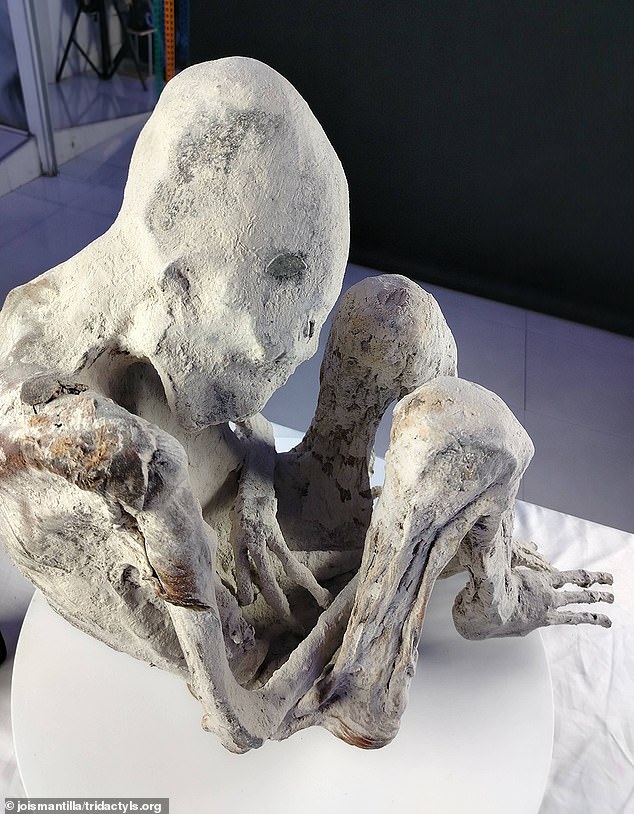 Scientists said they found the fetus inside an alien mummy they named Montserrat, who they claim was less than 30 weeks pregnant when she died 1,200 years ago