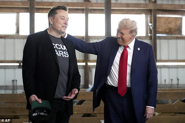 Bannon then went on to demand Trump initiate deportation proceedings against Musk. Pictured, Donald Trump and Elon Musk are seen in October 2024