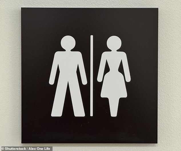 Transgender women should not be allowed to use female toilets, according to the Government's equality watchdog. Pictured: File photo