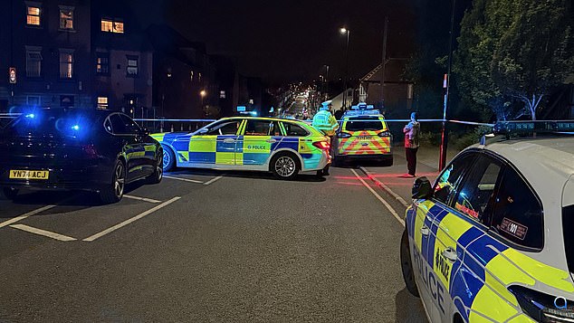 South Yorkshire Police said the collision involved a grey Audi, which 'failed to stop at the scene'