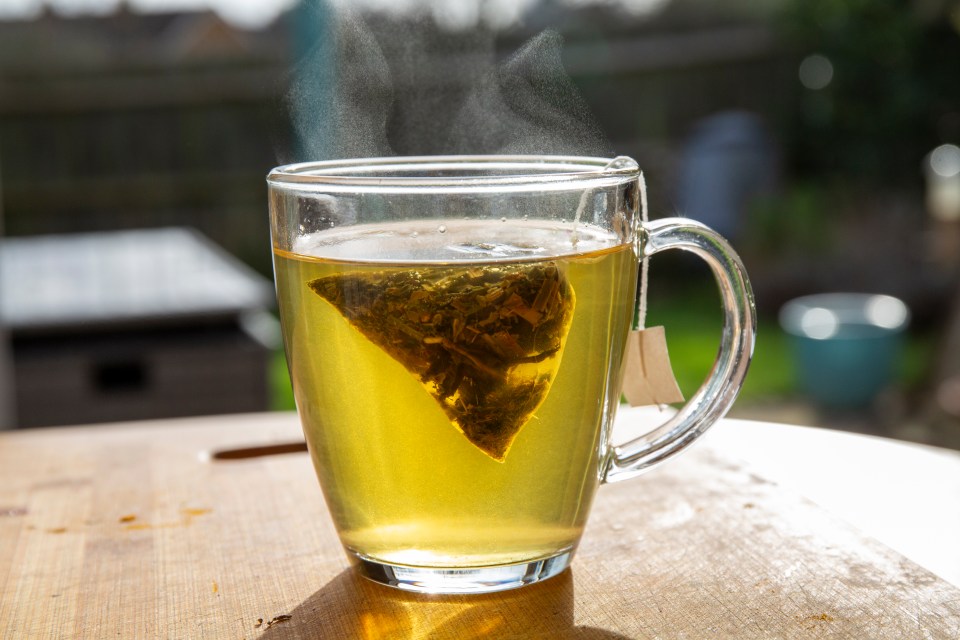 Steaming cup of green tea with tea bag.