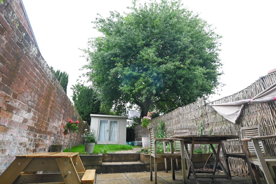 Backyard with large oak tree, garden shed, and patio furniture.