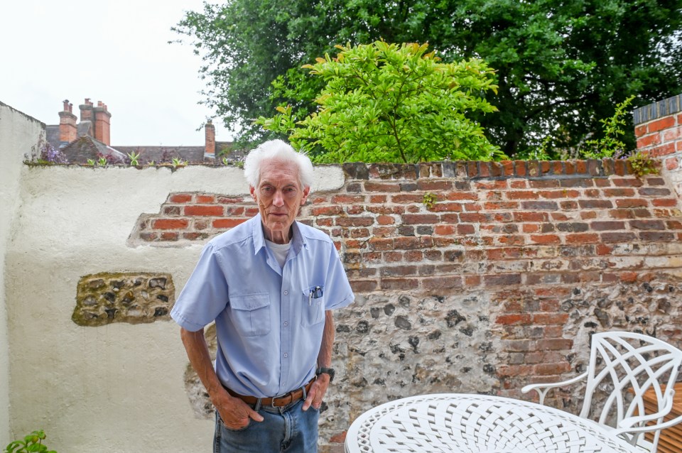 A man stands in his backyard, next to a brick wall.
