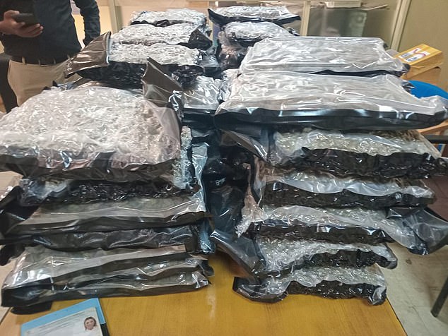 In court the police wheeled in the near-50kg haul of cannabis she was caught carrying as their investigation into the drugs bust continues