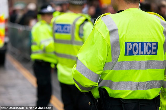 Police have foiled a terror plot on the King's guards after a 'lone actor' caused a 'huge security scare' (file image)