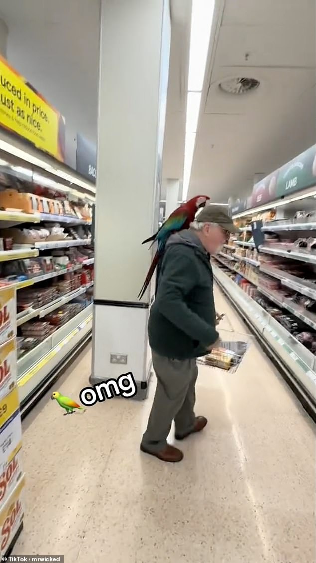 Posting the footage to X, the astonished man can't help but exclaim, ' That is something unbelievable. Oh my God,' as he spots the red-and-green macaw