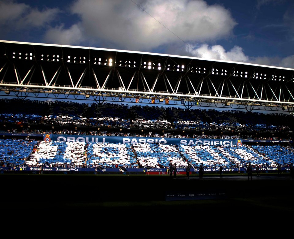 Stadium spectators holding up blue and white cards forming a mosaic.