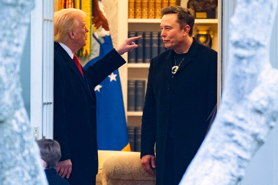Donald Trump and Elon Musk speaking in the White House.
