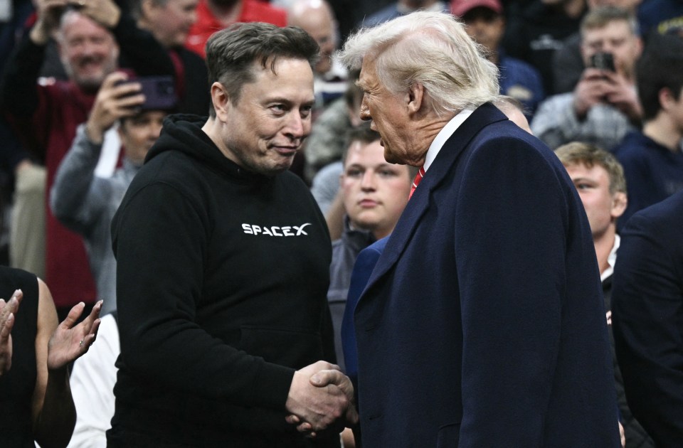 Elon Musk and Donald Trump shaking hands.