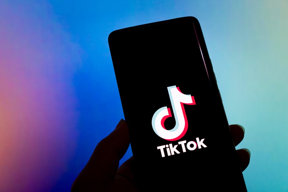 TikTok logo displayed on a smartphone.