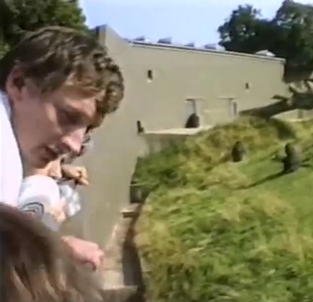 Although today almost everything is filmed on camera phones, 40 years ago it was uncommon so that fact that zoo visitor Brian Le Lion managed to capture what happened on film was rare