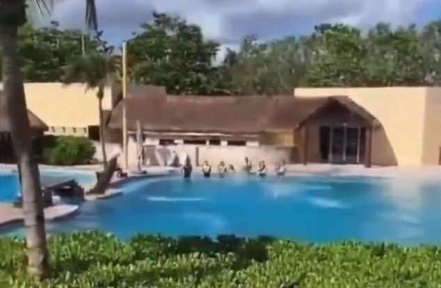 Footage filmed by a tourist shows a group of dolphins jumping out of the water in sync during a show at the Barcelo Riviera Maya hotel in Mexico. But one of them can be seen missing the mark and hitting a narrow sliver of concrete separating the big pool from a smaller one