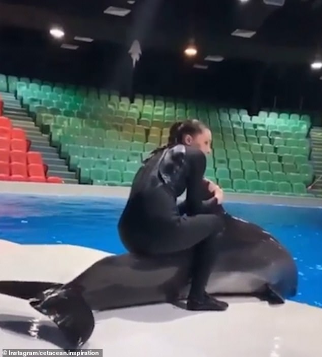 A trainer at Dubai Dolphinarium was investigated for alleged animal abuse in 2019 after video emerged of her sitting on the back of one of the animals