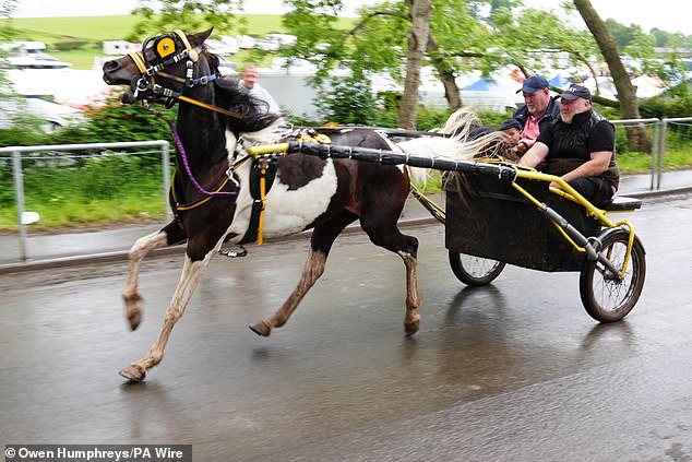 The fire came as thousands of gypsies descended on the horse fair in Cumbria despite the rain.