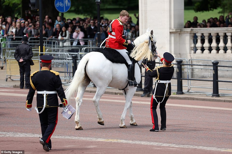 A member of the Household Division on horseback during The Colonel's Review