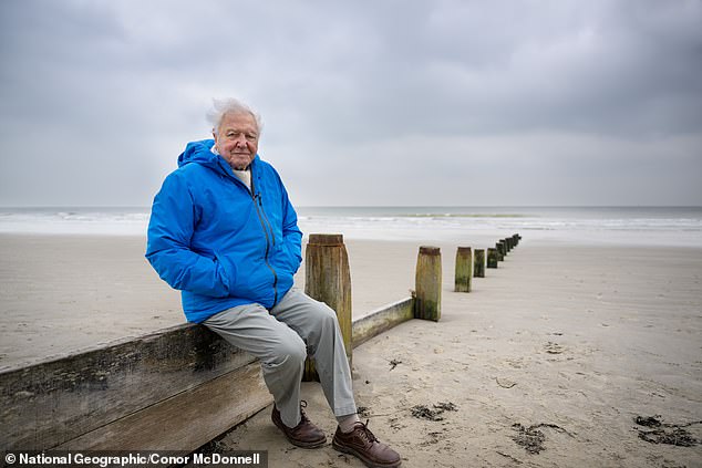 Sir David hopes his documentary will 'shift the public awareness' and that people 'will recognise that something must be done before we destroy this great treasure'