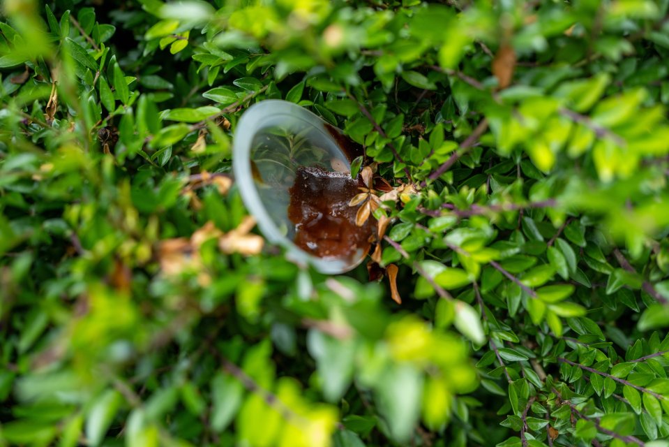 Litter in a bush.