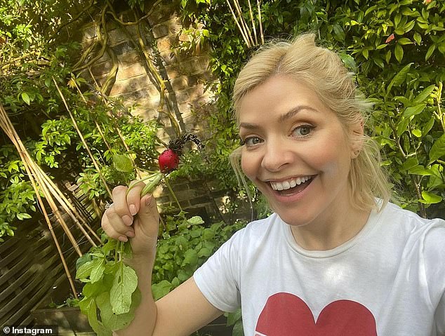 ITV sources told the Mail she was 'busy with other commitments' after Holly branched out to host Celebrity Bear Hunt in her first big role away from ITV