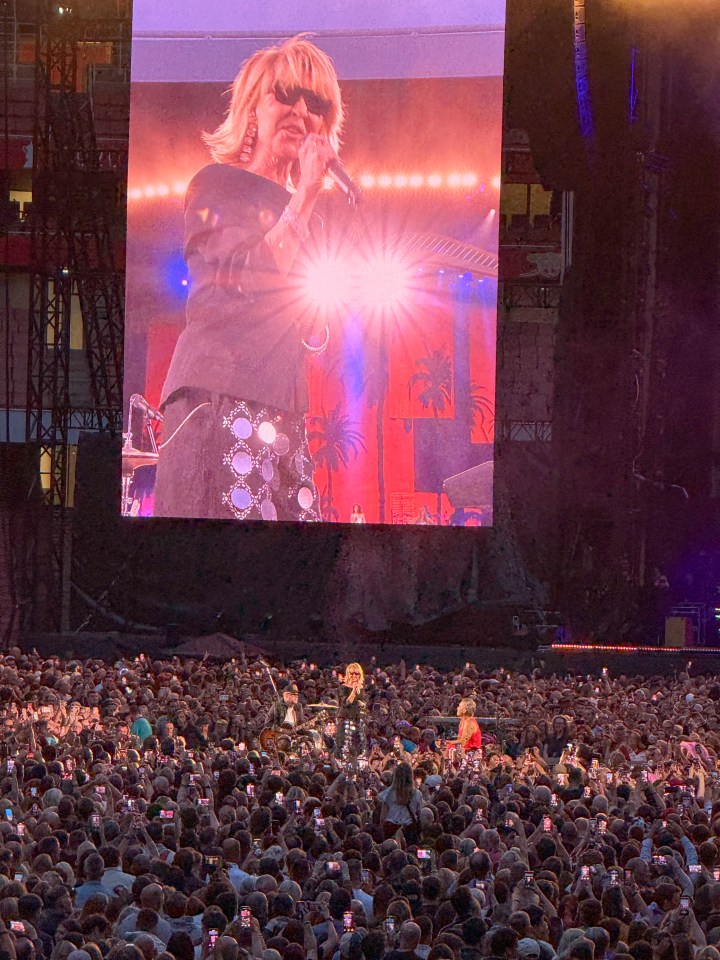 Robbie Williams performing at a packed Emirates Stadium.