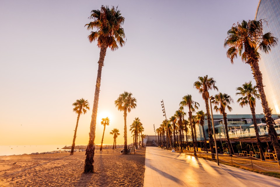 Sunrise over Barceloneta Beach in Barcelona, Spain, with palm trees lining a walkway.