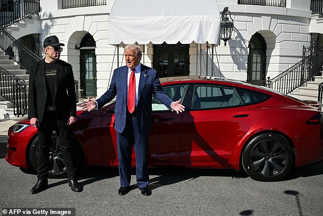 Through all the turbulence, it did appear that things between Trump and Musk were on good terms (Pictured: The two men stand in front of a Tesla on the White House South Lawn on March 11)