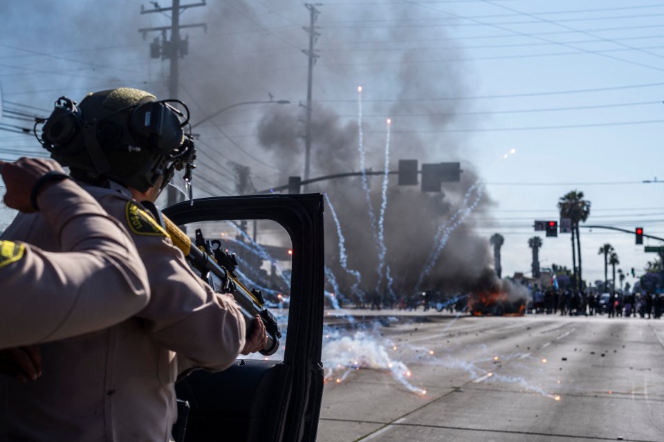 Protesters clashing with law enforcement during a demonstration against immigration raids.