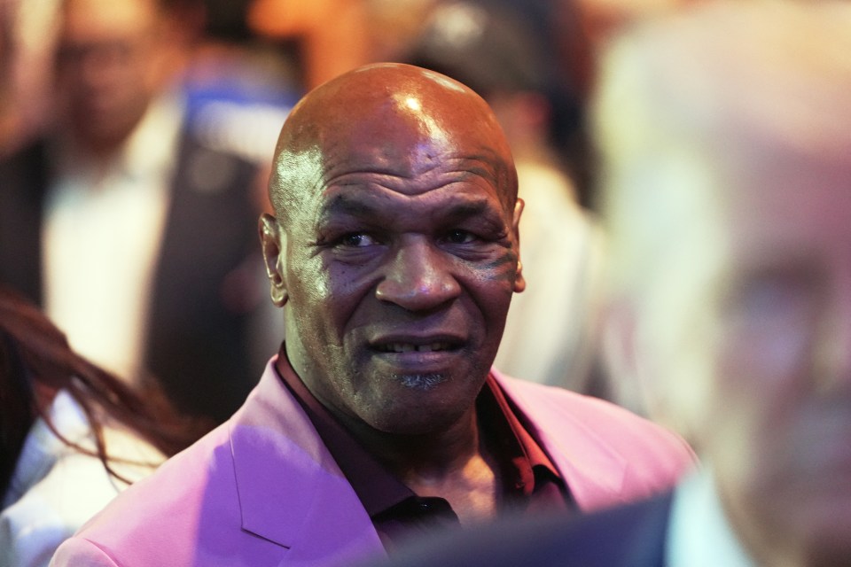 Mike Tyson at a UFC event.
