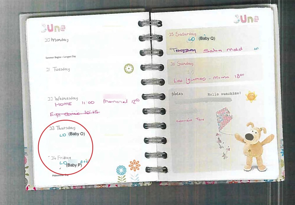 Open June diary spread showing handwritten appointments and notes.