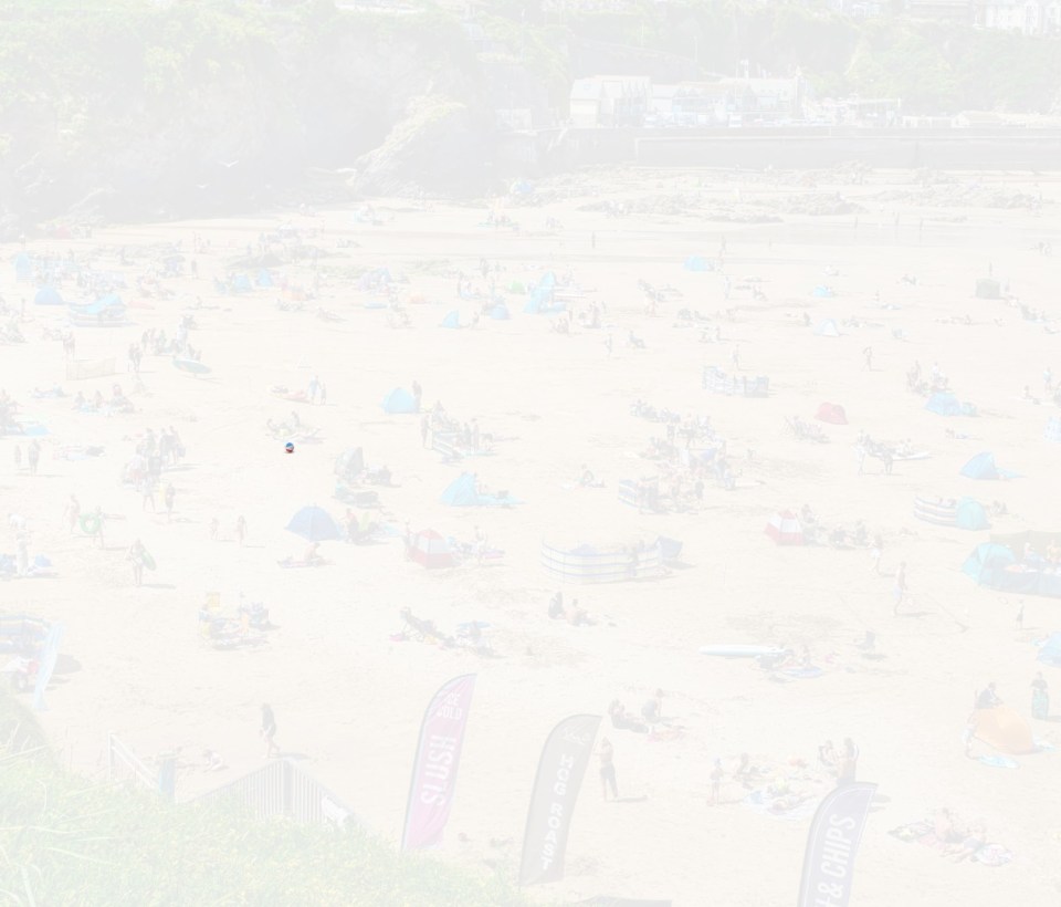 Hidden beach ball in a crowded beach scene.