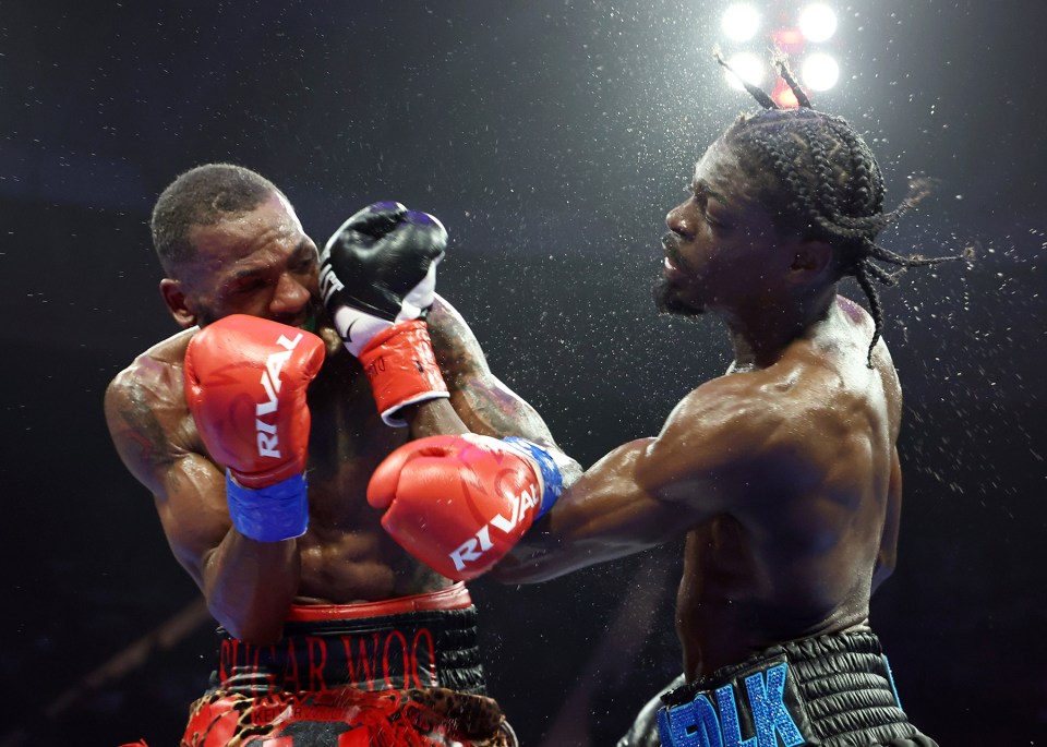 Two boxers exchanging blows in a boxing match.