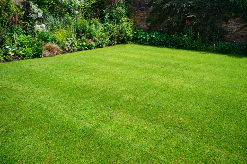 Lush green lawn bordered by a flower garden.