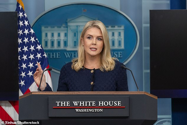 Karoline Leavitt speaks during a press briefing at the White House in Washington, D.C., the United States, on June 3, 2025