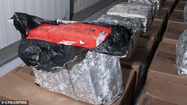 Stevenson's gang had tried to import almost a tonne of  cocaine, valued at roughly £100m