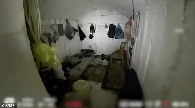 Sinwar, nicknamed 'The Shadow' and 'The Butcher of Khan Younis', was targeted in a massive airstrike on the hospital in Khan Yunis on May 13, just a day after Hamas released Israeli-American soldier Edan Alexander