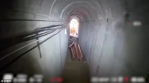 At the time, the IDF said it had struck 'Hamas terrorists in a command-and-control centre' in underground infrastructure at the hospital