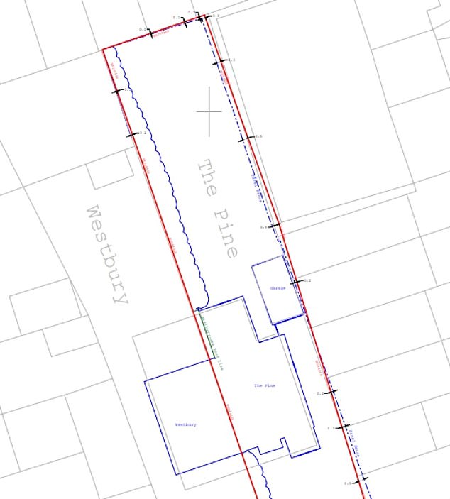 The Pine is Ms Grant's land, while Westbury is her neighbour's. The green line drawn up by a land surveyor suggests the extension wall intrudes over the boundary line onto Ms Grant's land by 0.4metres - around 15 inches